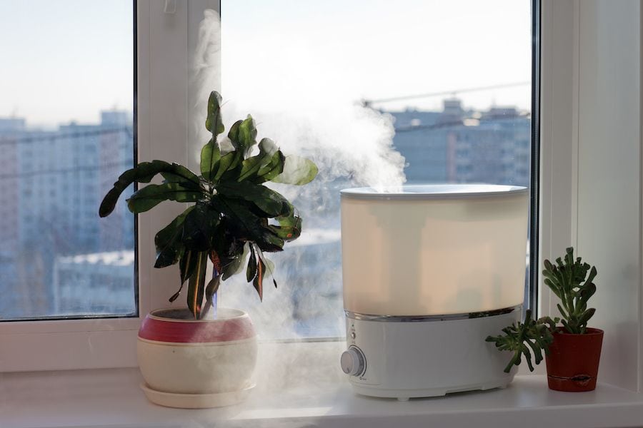 5 Ways to Improve Your Indoor Air Quality. Image shows a plant and humidifier sitting on windowsill.